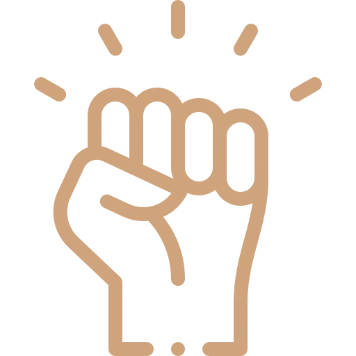 air claim expert rights icon